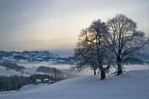 Images Dated 16th January 2010: Evening in the Appenzell region with a view on Mt. Saentis, Canton Appenzell Innerrhoden