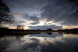 Saxon Gallery: Evening mood at a carp pond in the heath and pond region of Upper Lusatia, Saxony, Germany, Europe