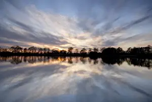 Saxon Prints: Evening mood at a carp pond in the heath and pond region of Upper Lusatia