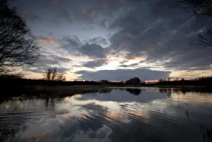 Saxon Prints: Evening mood at a carp pond in the heath and pond region of Upper Lusatia