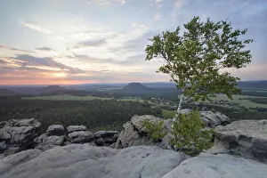 Images Dated 27th May 2012: Evening mood on Mt Gohrisch with sunset, Elbe Sandstone Mountains, Saxony, Germany, Europe