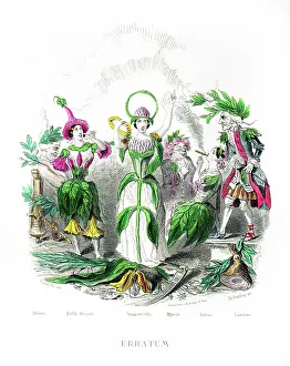 Grandville Prints: Evening Primrose - Hand colored plate from 'Les Fleurs Animees by J.J.Grandville 1867