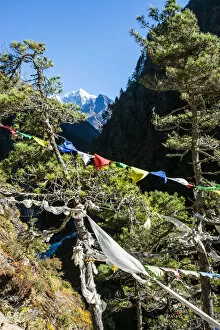 Images Dated 15th October 2016: Everest base camp trek, Himalayas, Nepal, prayer flags, Colour Image, Color Image