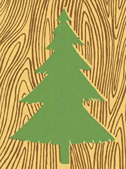 Woods Gallery: Evergreen Tree on Woodgrain Background
