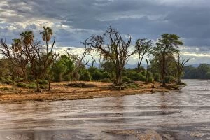 Bank Collection: Ewaso Ng iro River in Samburu National Reserve, Kenya, East Africa, Africa, PublicGround