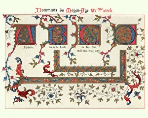 Images Dated 14th August 2018: Examples of Medieval decorative art from illuminated manuscripts 14th Century