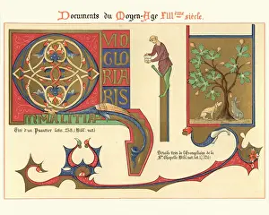 Ornamental Prints: Examples of Medieval decorative art from illuminated manuscripts 13th Century