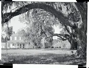 Charleston Prints: Exterior View of an Old Southern Home