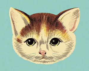 Ilust Prints: Face of a Cat