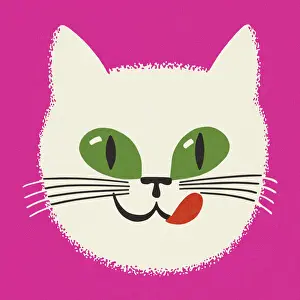 Kitty Prints: Face of a Cat