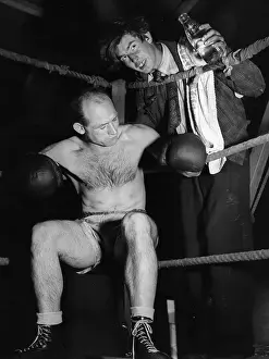 Fairground Boxer