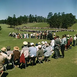 Fairway at Augusta Masters Tournament