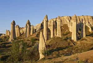 Images Dated 9th May 2014: Fairy chimneys, phallus-shaped tufa formations, Love Valley, Goreme National Park, Cappadocia