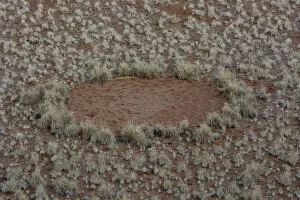 Images Dated 18th April 2013: Fairy circle, vegetation-free circular barren patch of land, desert, Namib, Hardap Region, Namibia