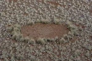 Phenomenon Prints: Fairy circle, vegetation-free circular barren patch of land
