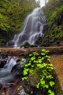 Images Dated 23rd March 2016: Fairy Falls in Springtime