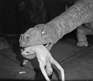 Fake Dinosaur Carrying Woman in Mouth