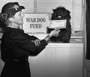 Certificate Prints: Fala Enlists in War Dog Fund