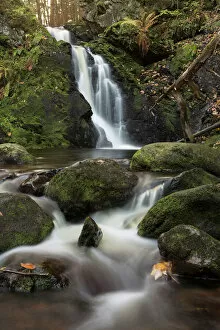 Stream Flowing Water Gallery: Falkau waterfalls in autumn, Feldebreg, Black Forest, Germany, Europe
