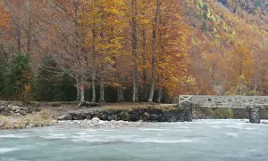 Huesca Province Prints: Fall colors