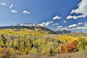 Images Dated 4th October 2017: Fall colors near Kebler Pass, Crested Butte, Colorado, USA