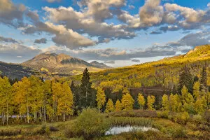 Images Dated 1st October 2017: Fall colors near Kebler Pass, Crested Butte, Colorado, USA
