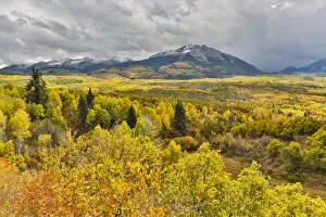 Images Dated 30th September 2017: Fall colors near Kebler Pass, Crested Butte, Colorado, USA
