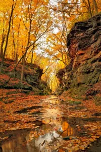 Running Water Prints: Fall colors at Pewits Nest Skillet Creek area Baraboo, Wisconsin