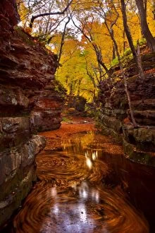 Stream Flowing Water Gallery: Fall colors at Pewits Nest Skillet Creek area Baraboo, Wisconsin