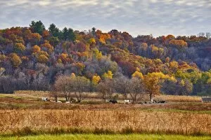 Fall colors in rural Wisconsin