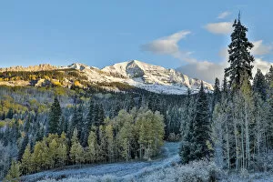 Images Dated 3rd October 2017: Fall colors with Snow at Kebler Pass, Crested Butte, Colorado, USA