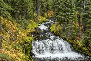 Oregon Collection: Fall Creek in Three Sisters Wilderness in autumn, Deschutes National Forest, Oregon, USA
