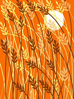 Fall Pattern
