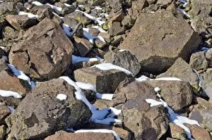 Images Dated 31st October 2011: Fallen basalt rocks with remnants of snow, Highway 65, Grand Mesa National Forest, Colorado, USA