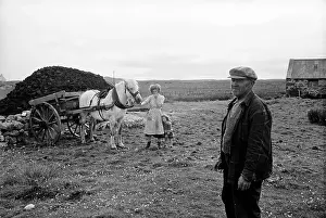 Anima Prints: Family Horse