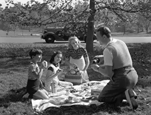 Picnic Prints: Family Picnic