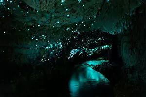 Images Dated 7th June 2018: Famous glowworm cave, New Zealand