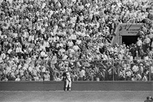 Fans Catching Ball In Stands