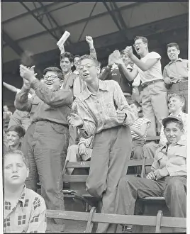 Fans Celebrating in Bleachers