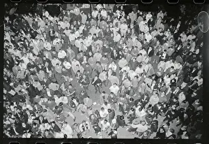 Fans Celebrating Red Sox Win