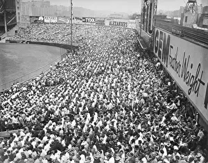 Fans Watching Baseball Game