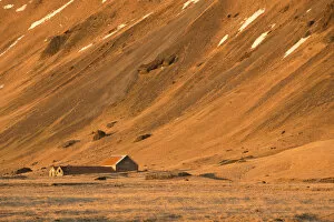 Images Dated 14th January 2016: Farm building, Pjodvegur in Iceland