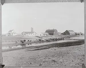 Farm Buildings