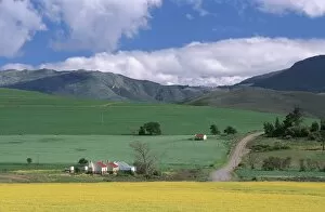 Farm Cottages and Rolling Green & Yellow Fields