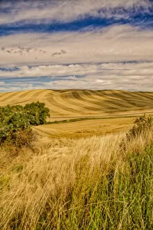 Images Dated 8th September 2016: Farm country landscape, Pullman, Colorado, USA