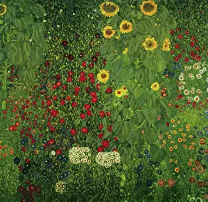 Farm garden with Sunflowers