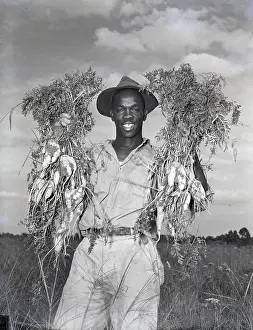 Farm Hand Holding Carrots