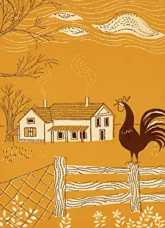 Illustration An Prints: Farm House and Rooster