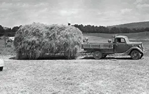 Farm scene