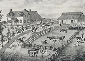 Iowa Prints: Farm Scene with Farm Animals